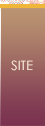 about this site
