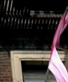 Filename=Brave-734.jpg
Filesize=18KiB
Dimensions=400x300
Date added=Jul 04, 2010 Brave-734.jpg