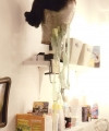 Filename=Gersh-dressingroom-04.jpg
Filesize=35KiB
Dimensions=394x600
Date added=Aug 01, 2010 Gersh-dressingroom-04.jpg