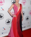 IM_Carousel_of_Hope_281429.jpg