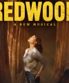 redwood.jpg